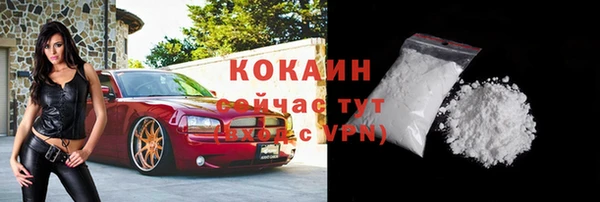 спиды Гусев
