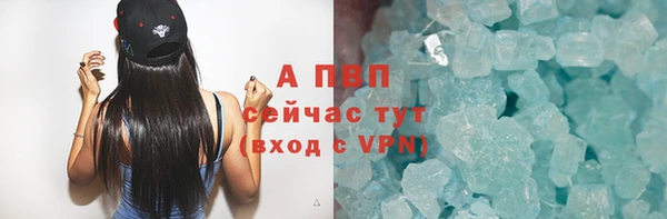 спиды Гусев