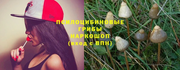 наркотики Гусь-Хрустальный