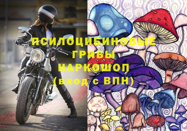спиды Гусев