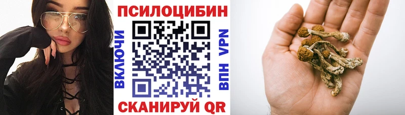 Купить  Нефтегорск  Галлюциногенные грибы Psilocybine cubensis 